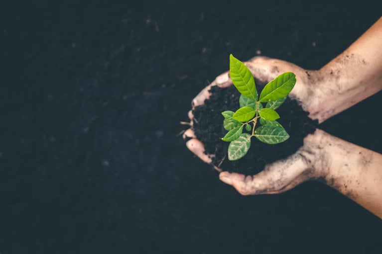 Video: Sustainability and Field Service Excellence
