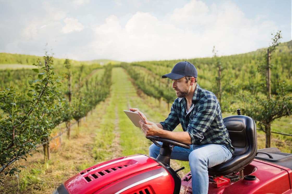 man on a lawnmower in a tree field