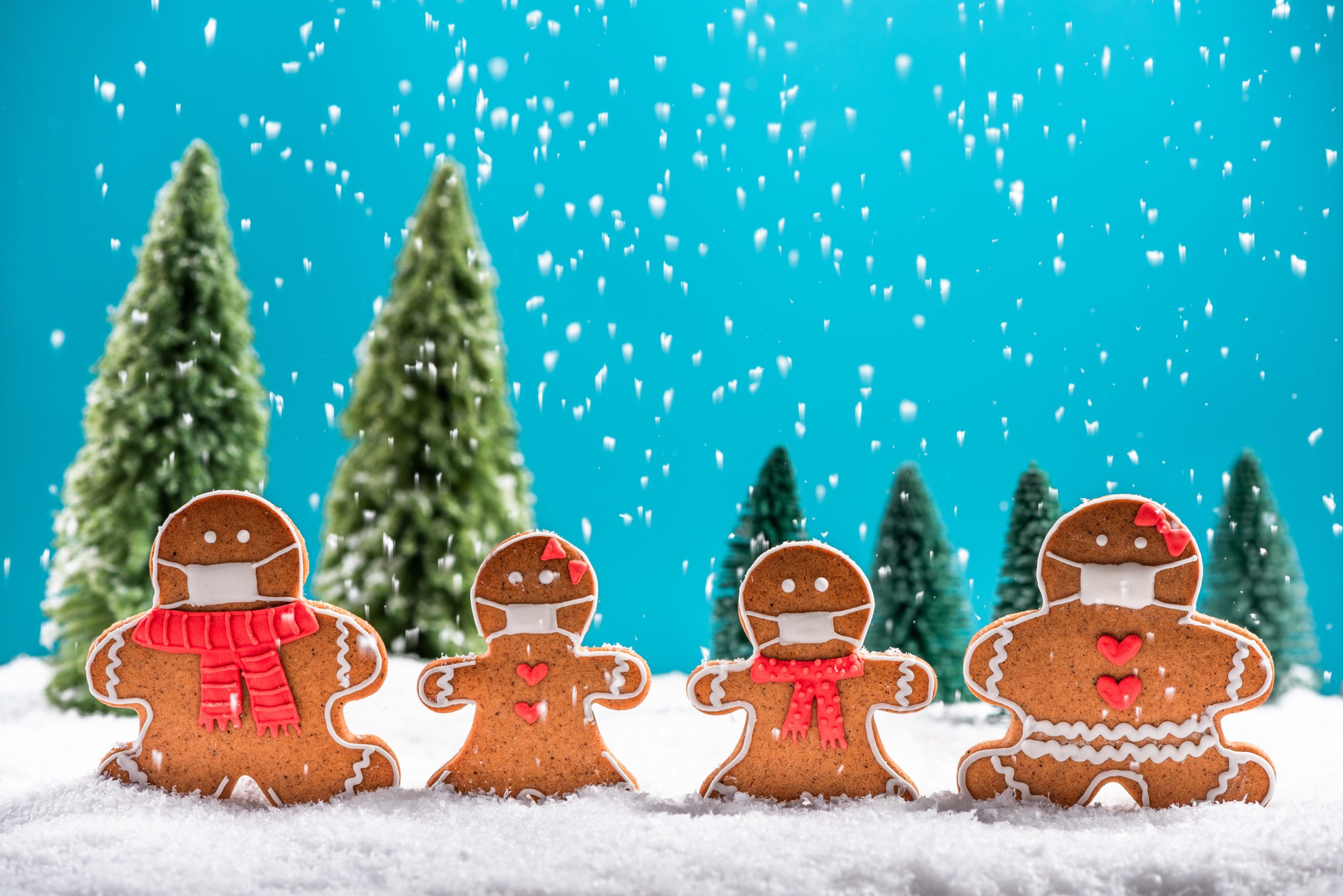 christmas greeting card