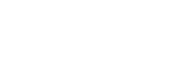 Brother logo white