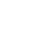 CNH white logo