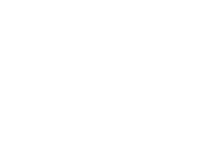 Dana logo white
