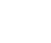 Nissan logo white