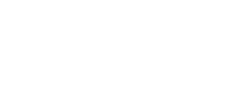 Ford logo white